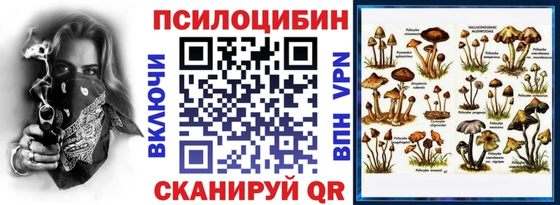 Галлюциногенные грибы Cubensis  Ржев 