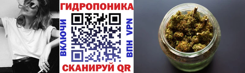 Каннабис THC 21%  купить наркотики цена  Ржев 